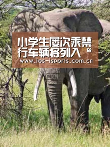 小学生屡次乘禁行车辆将列入“黑名单”通报批评“爱体育”(图4) 爱体育